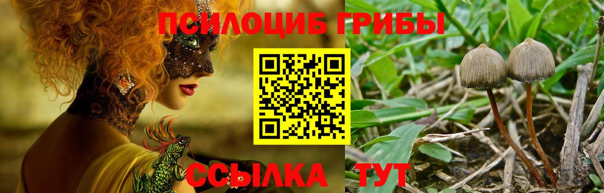 Вязьма  Псилоцибиновые грибы Magic Shrooms  Вход с VPN 